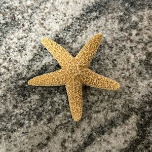 Starfish Hair Clip